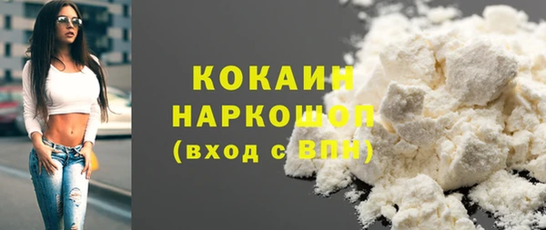 спиды Бородино