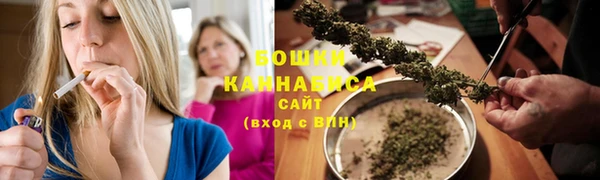 спиды Бородино