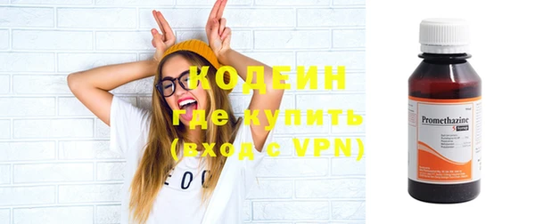спиды Бородино