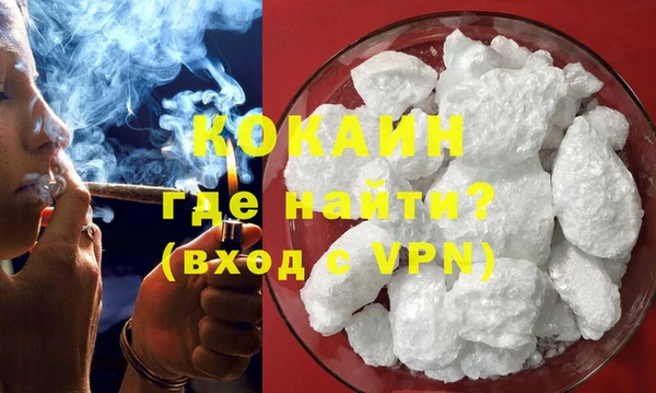спиды Бородино