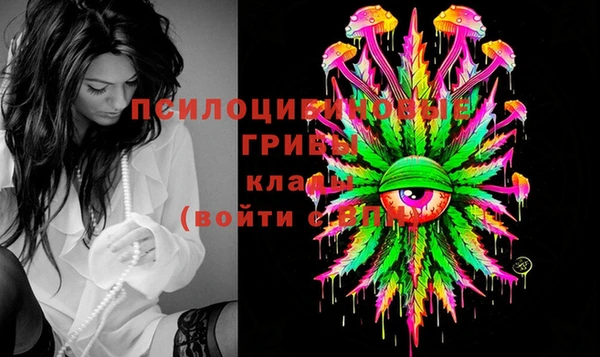прущие грибы Бугульма