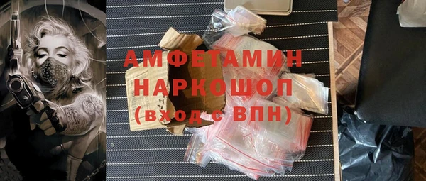 спиды Бородино
