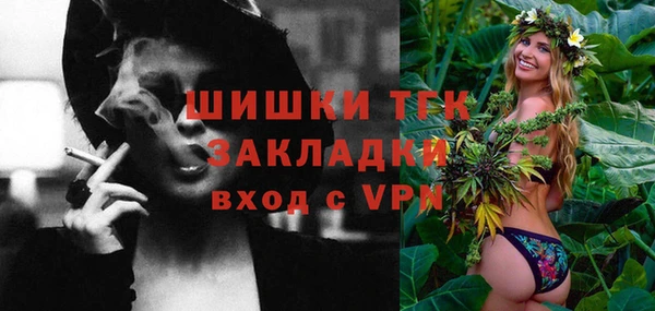 спиды Бородино