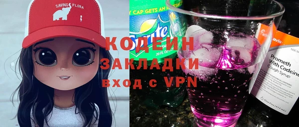 спиды Бородино