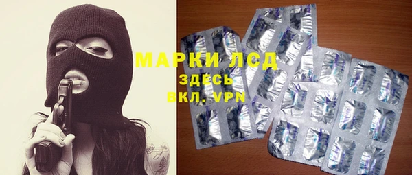 прущие грибы Бугульма