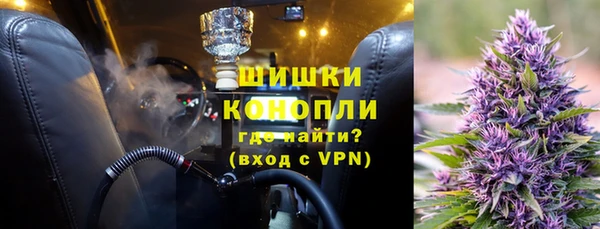 прущие грибы Бугульма