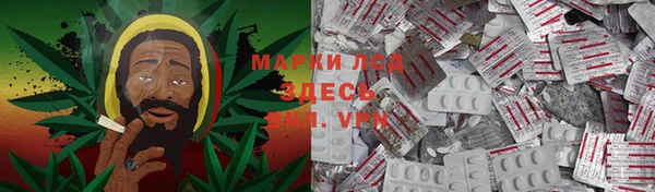 прущие грибы Бугульма
