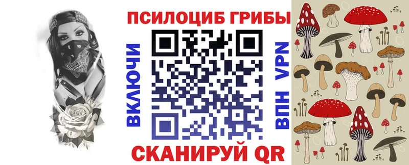 Псилоцибиновые грибы Cubensis  цены наркотик  Цоци-Юрт 